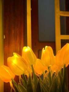 5 pcs Tulips with LED Light Artificial Tulip Flowers Table Lamp Simulation Tulips Bouquet Night Light Gifts for Home Decoration 559126998 1483541509569305 8825155633507096990 n